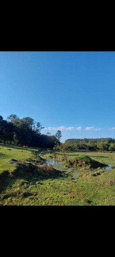 Imagen 4 de 13 de Chacra,campo Muy Centrica A 4km Del Centro De Jardin Americo