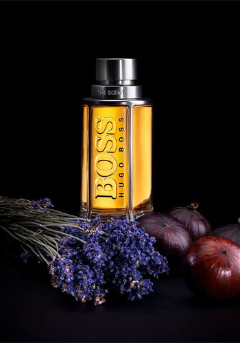 Boss The Scent Hugo Boss Eau De Toilette Masculino 100ml