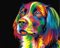 Comprar Pintura Al Oleo Con Bastidor Pintura Por Números Perro
