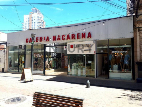 Imagen 2 de 12 de Galería De Locales En Santa Fe.