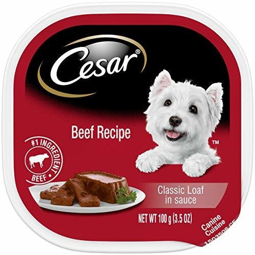 Cesar Suave Wet Dog Pan De Alimentos En Salsa Receta De Carn