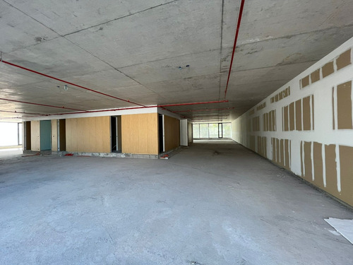 Alquiler Oficinas Premium Leed Platinum Ciudad Vieja Alma Et