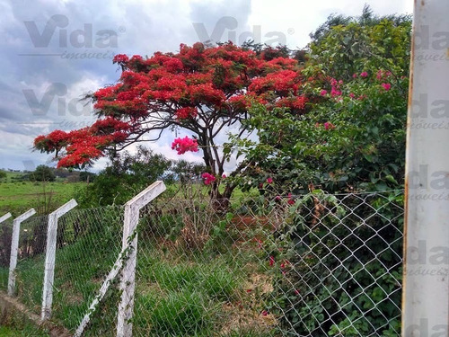 Imagem 11 de 13 de Sítio Em Dos Lopes - Conchas - 35956