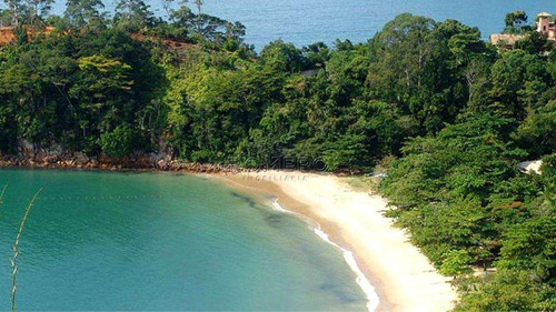 Imagem 8 de 10 de Terreno, Praia Do Pulso, Ubatuba - R$ 350 Mil, Cod: 1552 - V1552