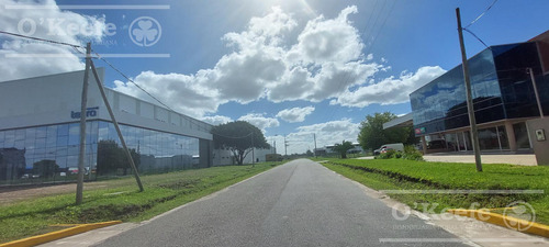 Venta - Lote Central 2500m2 - Parque Industrial Hudson - Gba Sur - Berazategui