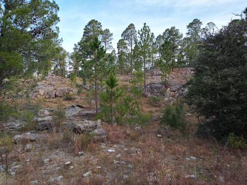 Venta Terreno En San Clemente - Cordoba - Barrio Privado Loma Piedra