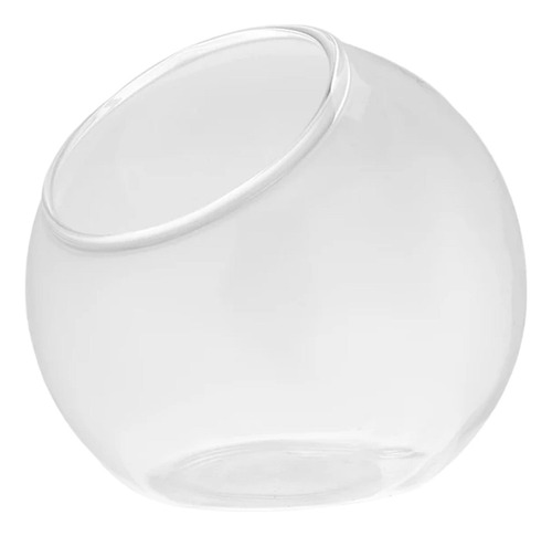 Planta Terrário Microlandschaft Casa Diâmetro 10cm