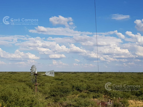 Se Vende Campo Ganadero En Mendoza, Rio Diamante. San Rafael.