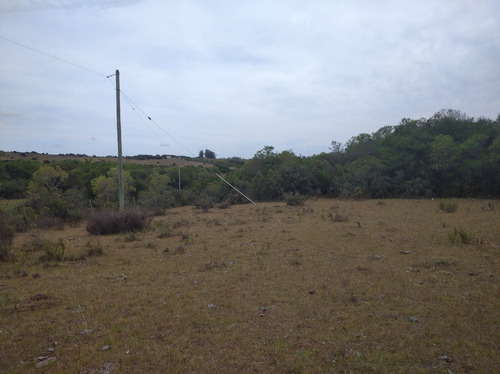 Campo De 13 Hectáreas Con Arroyo