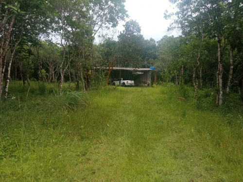 Imagem 8 de 9 de Chácara No Bairro Chácaras Lúcel Em Itanhaém, Analisa Entrada E Parcelas, Analisa Carro Como Parte De Pagamento Ref: Ch152/ac