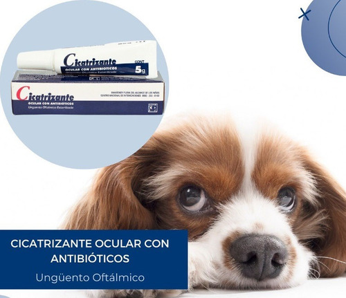 Cicatrizante Ocular Ungüento - Perros Y Gatos