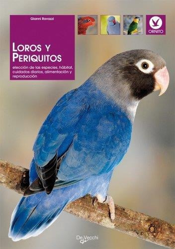 Loros Y Periqitos