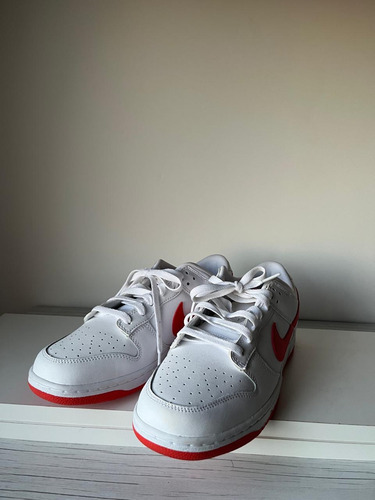 Zapatillas Nike Dunk Low (Usado)