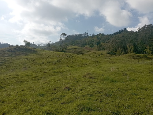 Increíble Finca De Dieciocho Fanegadas En Pacho Cundinamarca,  Con Reservorio Y Vía De Acceso En Excelente Estado.