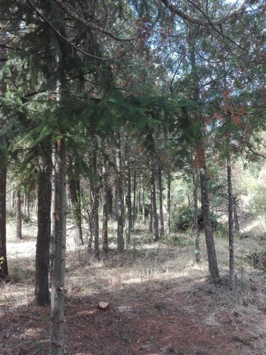 Terreno - Las Golondrinas