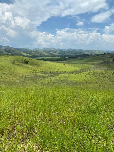 Imagem 6 de 14 de 49) Terreno Para Chácara Em Empreendimento Fechado!