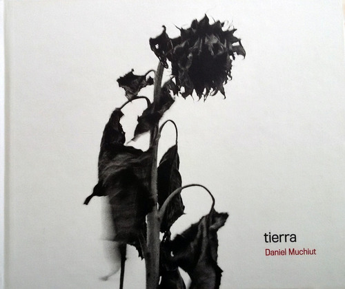 Tierra   -   Daniel Muchiut  (ai)