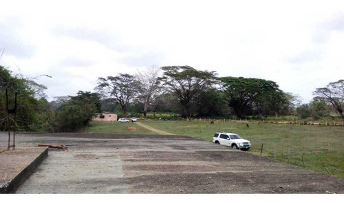 Imagen 6 de 15 de Finca En La Alegría En Yaracal Cerca De Tucacas