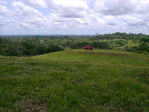 Imagen 8 de 14 de Venta De Hermosa Finca