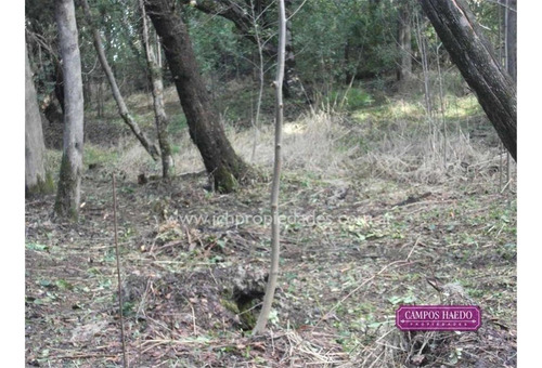 Imagen 4 de 6 de Las Balsas - Lote De 1.967 M2 En Ph Fei Curam (cod. L24)