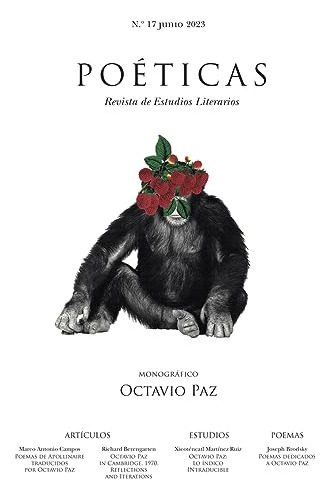 Revista Poeticas 17 - Vv Aa 