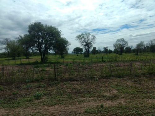 Imagen 5 de 18 de Venta Campo En Santiago Del Estero, Norte De Monte Quemado