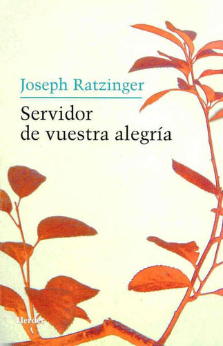 Servidor De Vuestra Alegria: Reflexiones Sobre La Espiritual