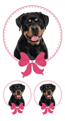 Sticker Rottweiler Niña 3 Pza Impresion Alta Calidad Mascota