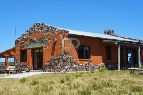 Imagen 1 de 14 de Chacra En Venta San Carlos 4 Dormitorios, 16 Hectáreas