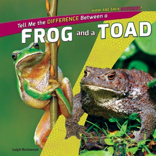 Tell Me The Difference Between A Frog And A Toad (how Are Th