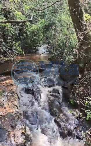 Chacra En Venta 50 Has Corpus - Misiones