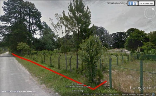 Imagem 2 de 10 de Terreno Para Venda Em Campo Largo, Bolsa Nova - 811_2-154242