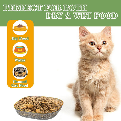 Paquete De 6 Platos Para Gatos Con Cuenco De Comida Para Gat