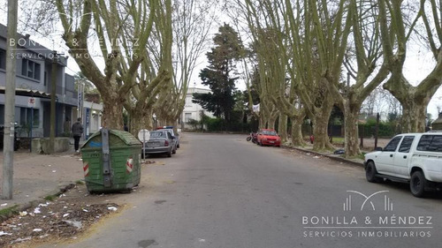 Local - Colón