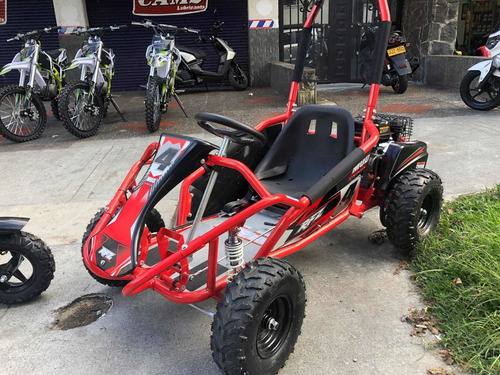 Go Kart Mini Kart Cuatrimoto Karting