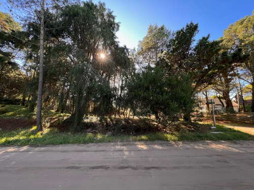 Imagen 15 de 16 de Lote En Carilo Hornero Y Paraíso