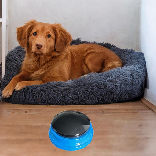 Botón De Grabación De Voz Con Zumbador De Respuesta, Azul