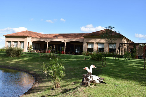 Imagen 7 de 9 de Venta Terreno Lote A En San Lucas Canning San Vicente