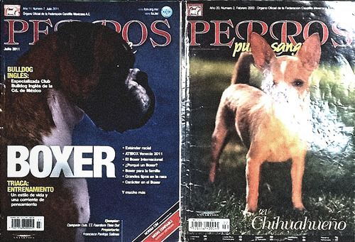 12 Revistas Perros Pura Sangre Coleccionables Selectas (Usado)
