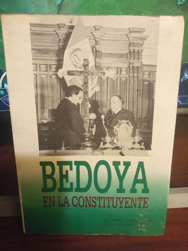 Bedoya En La Constituyente: Ricardo Amiel Meza