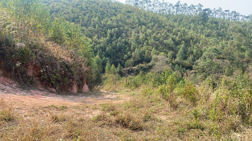 Imagem 9 de 14 de 7a Igaratá Terrenos