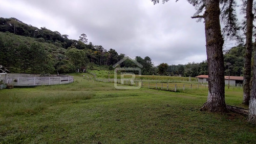 Imagem 30 de 30 de Mini Haras - 213 - 70588973