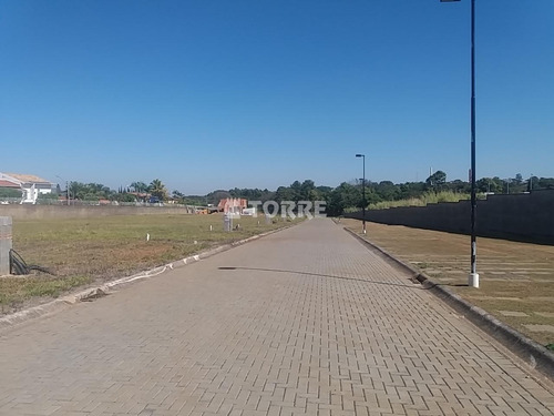 Imagem 3 de 15 de Terreno À Venda Em Vila Modesto Fernandes - Te003009