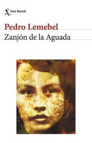 Libro Zanjon De La Aguada Original