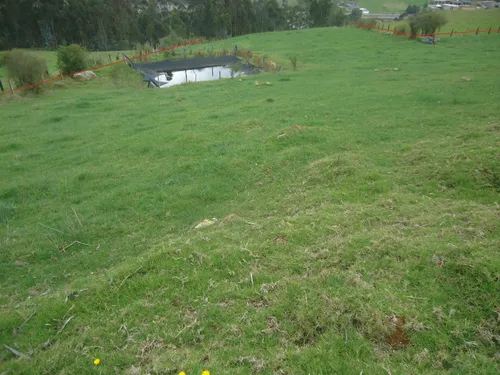 Se Vende Finca Idonea Para Su Proyecto