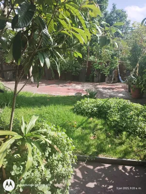 Cuarto en renta