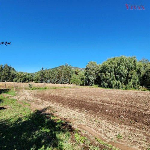 Sitio En Venta En Curicó