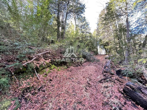 Venta De Parcela Cordillerana 7000m2 Coñaripe En Panguipulli