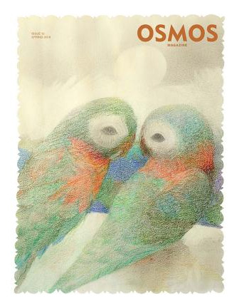 Libro Osmos Magazine: Issue 15 - Rabinowitz, Cay Sophie