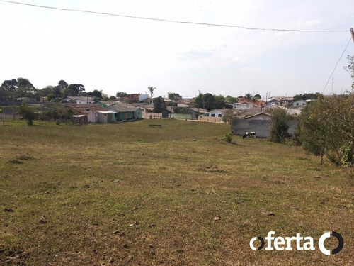 Imagem 7 de 15 de Chacara - Tamanqueira - Ref: 149 - V-149